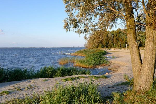 Huus Am Darss Villa Fuhlendorf  Екстериор снимка